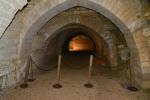2025 06 08 Marais Poitevin 157